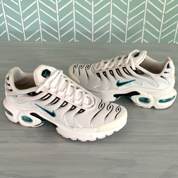 Nike Shoes - Air Max Plus BG ‘Dusty Cactus’